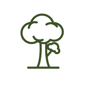 ikona služby: strom