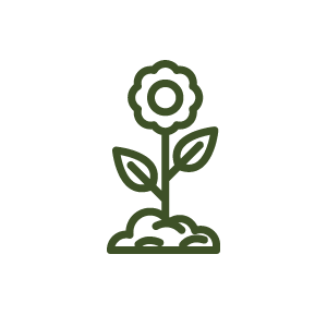 ikona služby: kvet